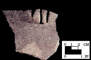 Keyser rim sherd with perforated node/lug from the Hughes site, 18MO1-SI Cat.# 392275-Courtesy of the Smithsonian Institution, Museum of Natural History, Department of Anthropology.